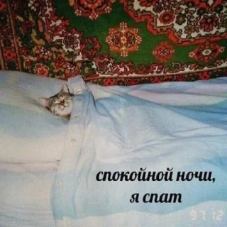 🐱 emoji От Викусик❤️ Telegram sticker 20 of 64