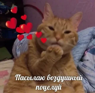 💋 emoji От Викусик❤️ Telegram sticker 17 of 64
