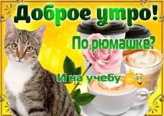 От Викусик❤️ sticker 4