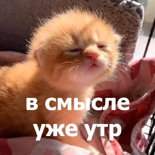 Sticker from Маруська что-то мутит