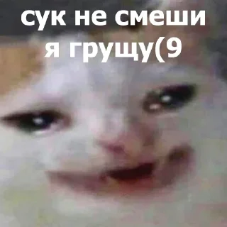 Sticker from Маруська что-то мутит