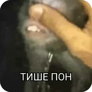 бибзьян пон by @shadxwslayer sticker 3