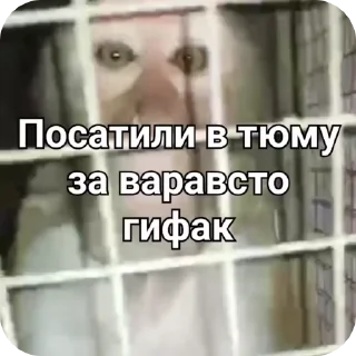 🌟 emoji бибзьян пон by @shadxwslayer Telegram sticker 5 of 111