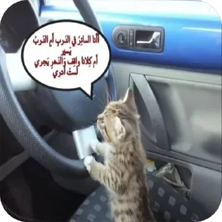🤍 emoji just قطط Telegram sticker 11 of 50