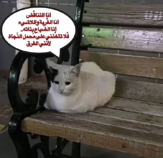 🤍 emoji just قطط Telegram sticker 8 of 50