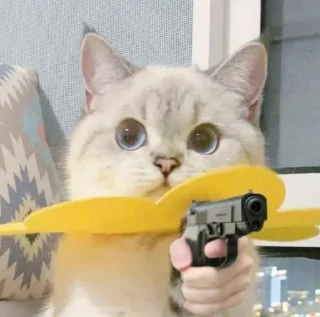 🔫 emoji Котеки • @stickB00K Telegram sticker 22 of 25