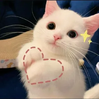 ❤️ emoji Котеки • @stickB00K Telegram sticker 21 of 25