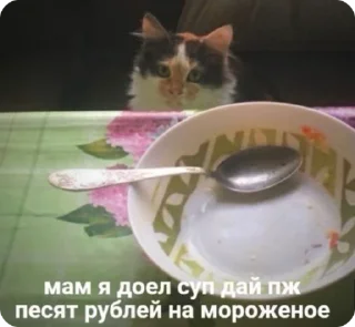 Sticker from смешни коти 🐈 by. mrz.omg