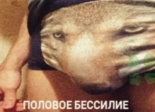 🌟 emoji Пися попа Telegram sticker 9 of 53