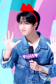 Sticker from Skz