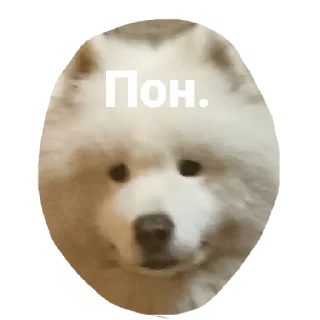 Sticker from Пиздати Илюша