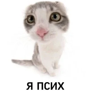 😂 emoji Я болею клоунизмом Telegram sticker 17 of 30