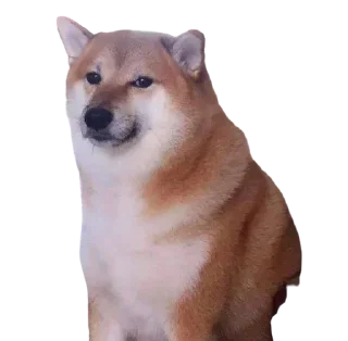 🥺 emoji @intiqam  1 Telegram sticker 9 of 56