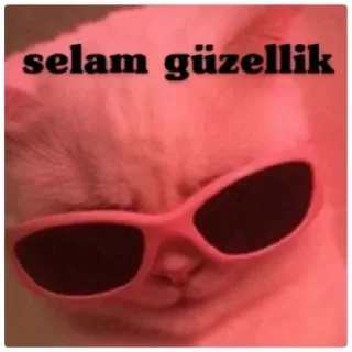 😎 emoji @Shirnovff @BrendUserBot Paketi 1 Telegram sticker 22 of 33