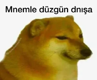 🤔 emoji @Shirnovff @BrendUserBot Paketi 1 Telegram sticker 1 of 33