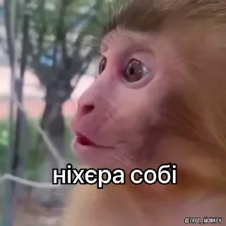 😱 emoji Стикеры @stickrubot @textmeru_bot Telegram sticker 9 of 50