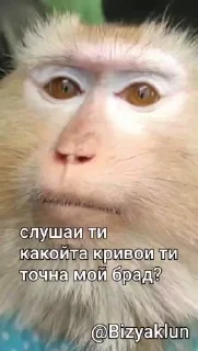 ❤️ emoji Стикеры @stickrubot @textmeru_bot Telegram sticker 20 of 50