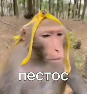 😔 emoji Стикеры @stickrubot @textmeru_bot Telegram sticker 17 of 50
