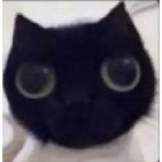 🐈‍⬛ emoji кисятки Telegram sticker 17 of 60