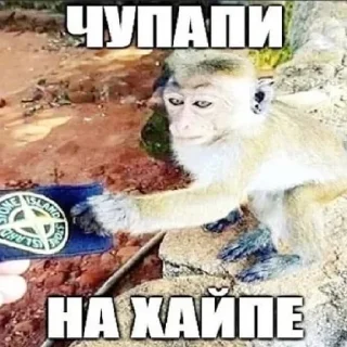 😃 emoji вумен момент Telegram sticker 19 of 26