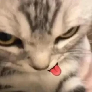 😋 emoji вумен момент Telegram sticker 17 of 26