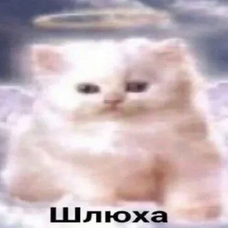 😁 emoji вумен момент Telegram sticker 6 of 26