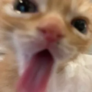 😛 emoji вумен момент Telegram sticker 18 of 26