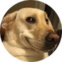 Sticker from Doggy Style