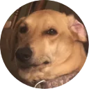 Sticker from Doggy Style