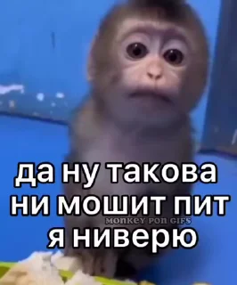 🌟 emoji Бибизьяна для Димона и цыпера Telegram sticker 6 of 44