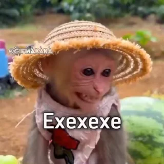 🐵 emoji Бибизьяна для Димона и цыпера Telegram sticker 21 of 44