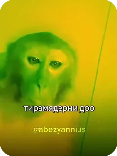 🌟 emoji Бибизьяна для Димона и цыпера Telegram sticker 22 of 44