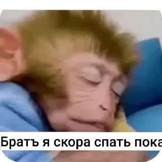 🐒 emoji Бибизьяна для Димона и цыпера Telegram sticker 9 of 44