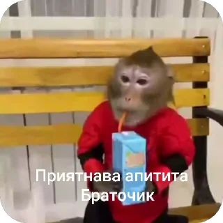 🤓 emoji Бибизьяна для Димона и цыпера Telegram sticker 1 of 44
