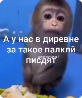🌟 emoji Бибизьяна для Димона и цыпера Telegram sticker 24 of 44