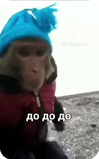 🌟 emoji Бибизьяна для Димона и цыпера Telegram sticker 23 of 44