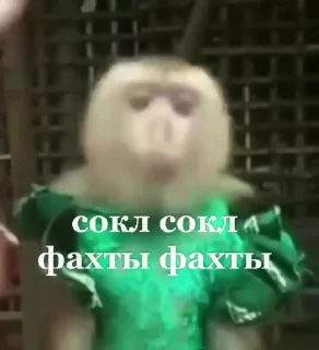🌟 emoji Бибизьяна для Димона и цыпера Telegram sticker 5 of 44