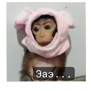 🐵 emoji Бибизьяна для Димона и цыпера Telegram sticker 15 of 44