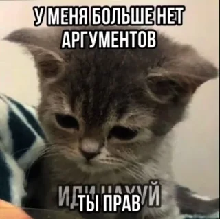 🖕 emoji Сука Котики | @ItsAIlOver Telegram sticker 9 of 91