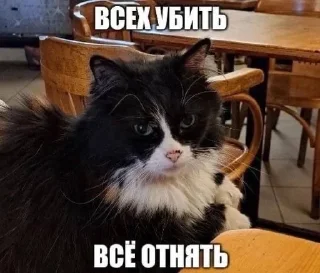 😡 emoji Сука Котики | @ItsAIlOver Telegram sticker 15 of 91