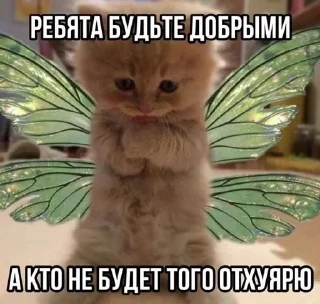 🥰 emoji Сука Котики | @ItsAIlOver Telegram sticker 8 of 91