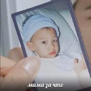 Sticker from пельмешек 🥟