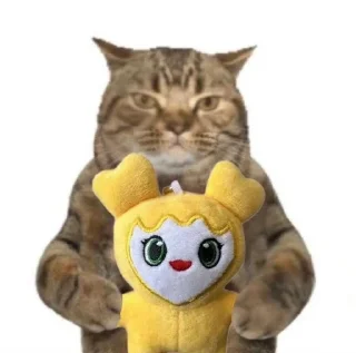 🌟 emoji I🫀TWICE❗️TWICE MY WORLD Telegram sticker 12 of 35