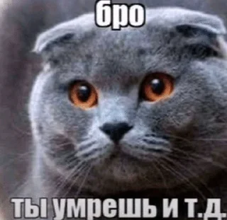 🌟 emoji пися Telegram sticker 24 of 118