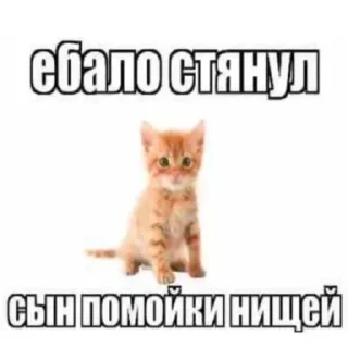 🌟 emoji пися Telegram sticker 15 of 118