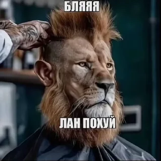 🌟 emoji пися Telegram sticker 22 of 118