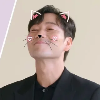 😽 emoji Haesooismylove Telegram sticker 13 of 35
