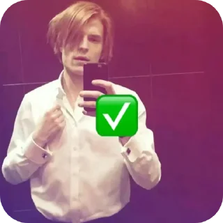 Sticker from стая