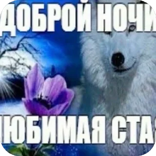 Sticker from Стая