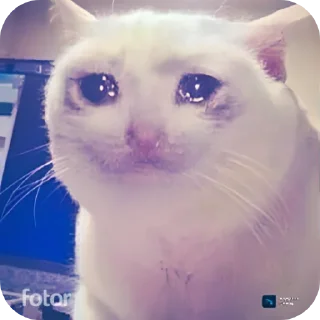 😿 emoji ⒶⓃⓃⒶ ⒼⓁⒺⓃⓈ. @scxanx Telegram sticker 7 of 32